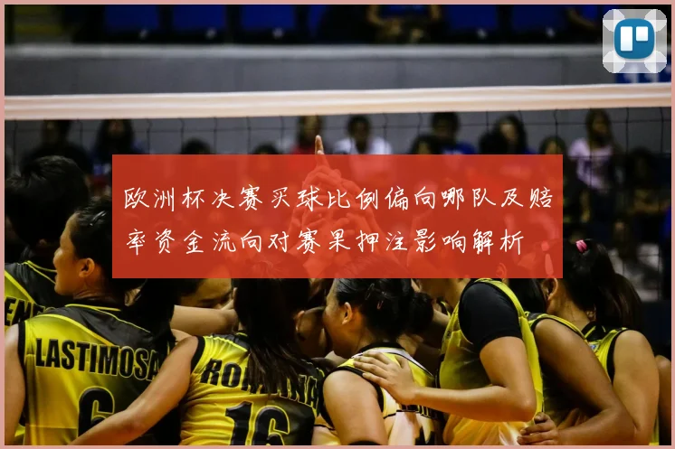 欧洲杯决赛买球比例偏向哪队及赔率资金流向对赛果押注影响解析