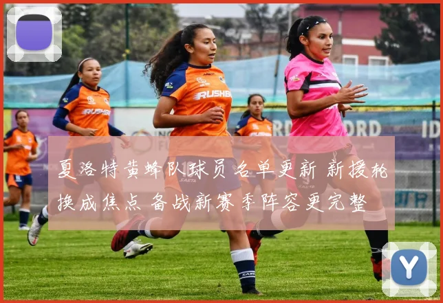 夏洛特黄蜂队球员名单更新 新援轮换成焦点 备战新赛季阵容更完整
