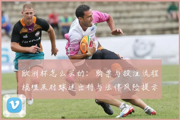 欧洲杯怎么买的：购票与投注流程梳理及对球迷出行与法律风险提示