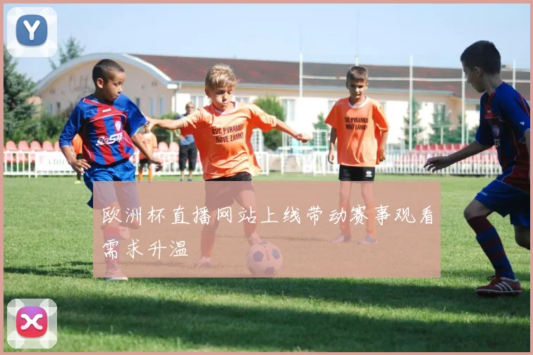 欧洲杯直播网站上线带动赛事观看需求升温