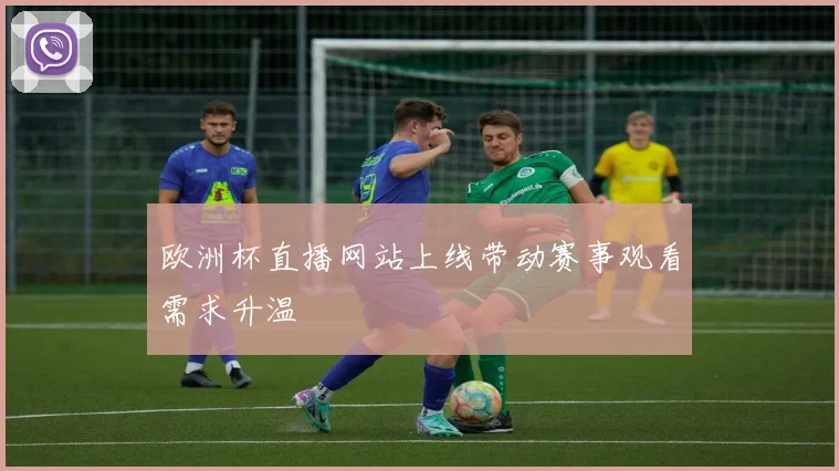 欧洲杯直播网站上线带动赛事观看需求升温