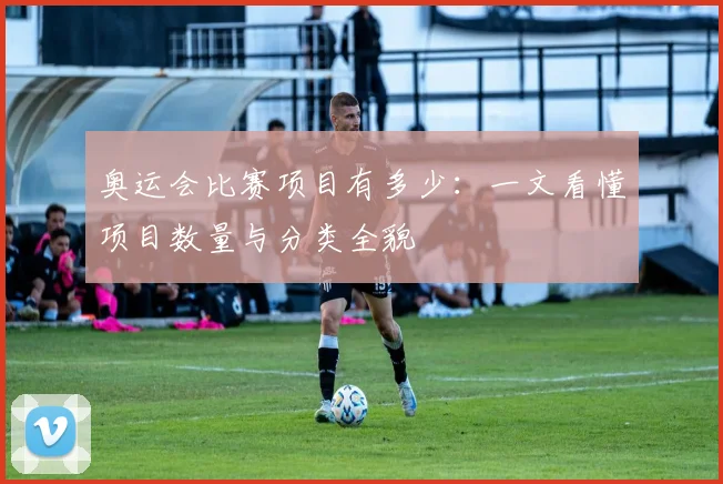 奥运会比赛项目有多少:一文看懂项目数量与分类全貌