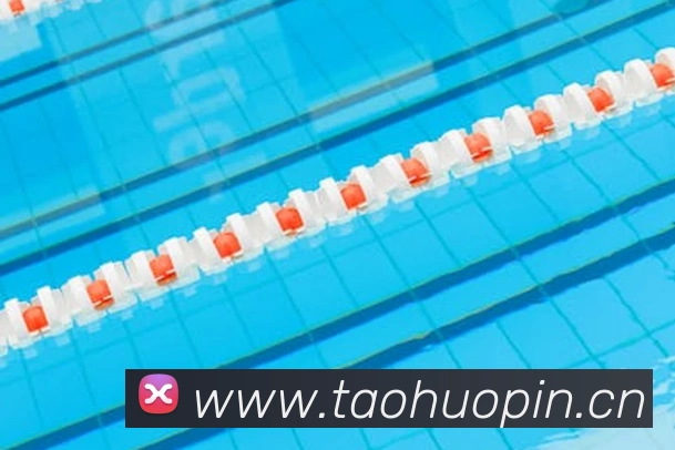 乐竞官网登录入口APP 封面图